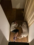 thumbnail img 3283