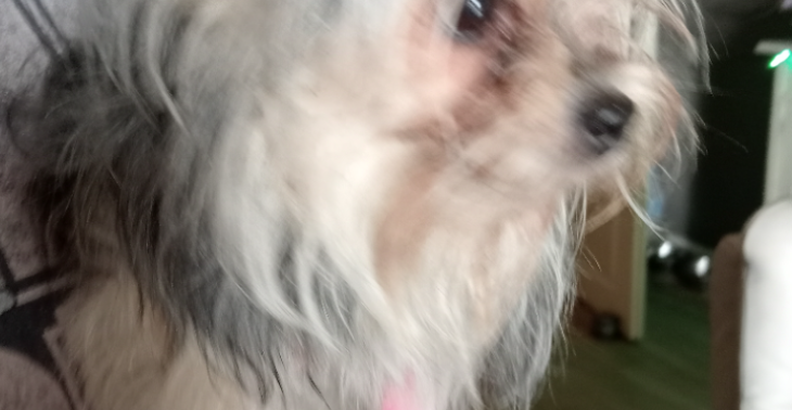 Hulp nodig ik en pepper