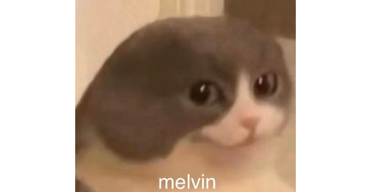 SPENDE FÜR MELVIN HABIBI :(