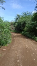dsc00191