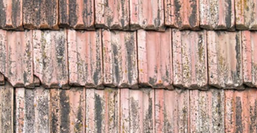 Haus Retten
