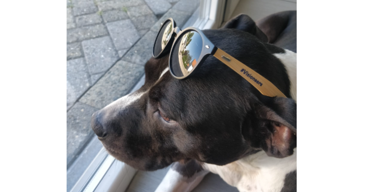 Geef Lena de kans om weer te spelen - Help haar opereren!