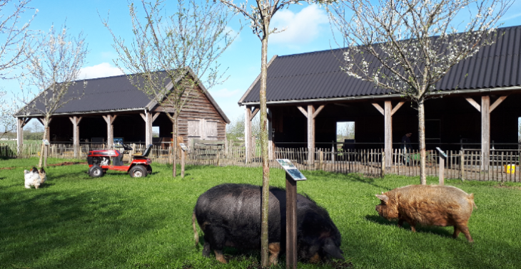 Steun de kinderboerderij!
