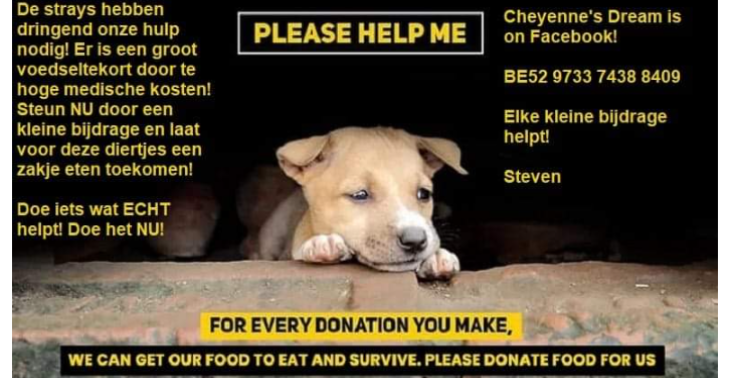 Help de kleintjes zonder stem met uw kleine bijdrage! Help echt!