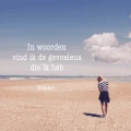 phonto 3