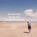 phonto 7