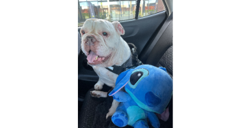 Binky 10 jaar