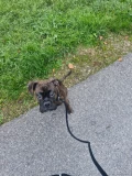 20241024 084030