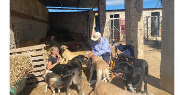 hulp aan de dieren finca la castellana
