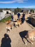 img 1740