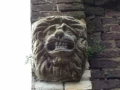 bazleeuw