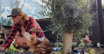 Help mee met het verzorgen & vertroetelen van onze lieve dierenvriendjes