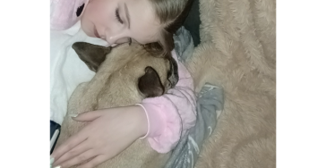 Laatste mogelijke chemo behandeling voor Balou 😭
