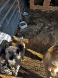1000117167