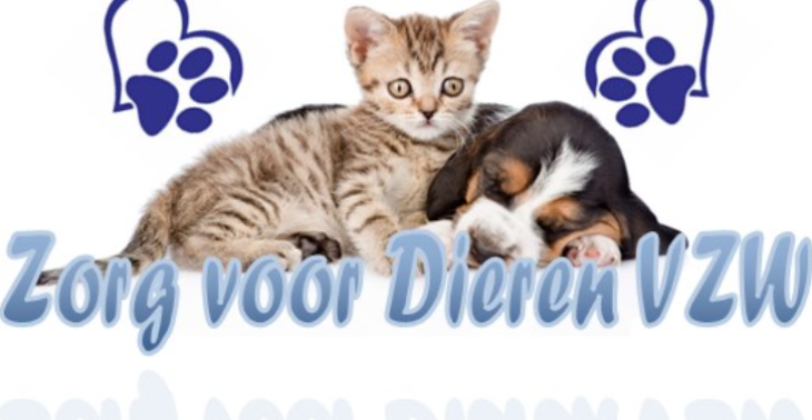 Nood aan hulp voor Kattenasielen VOEDING EN MATERIAAL