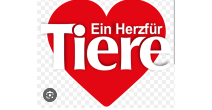 Hilfe für Tiere in der Weihnachtszeit