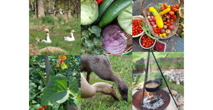 Natuur en gezond voedsel voor iedereen bereikbaar