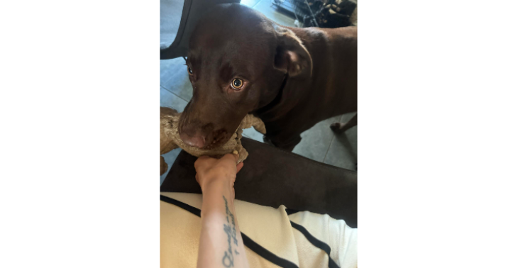 Help voor Chloë