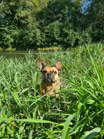 3f3f86e1 a8d5 45dd be34 5d05c6c40689.