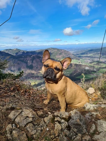 a093c1b8 7b0c 44a6 9291 b74f869fa007.