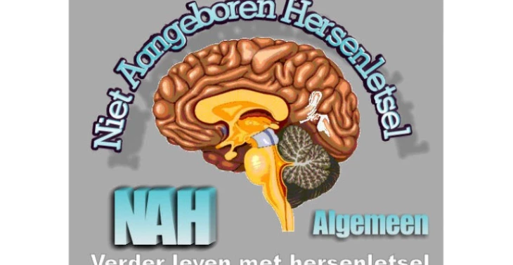Niet Aangeboren Hersenletsel