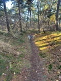 gucci wandelen 2