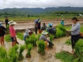 laos.childrin.5