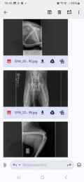 1000020622