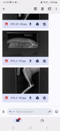 1000020623