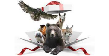 Inzameling dierenwelzijn