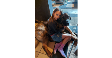 Een duwtje in de rug voor de operatie van onze hond