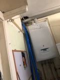 img 1229