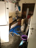 img 1231