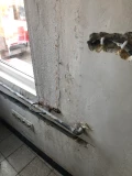 img 3629