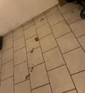 img 3957