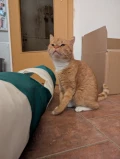 65667