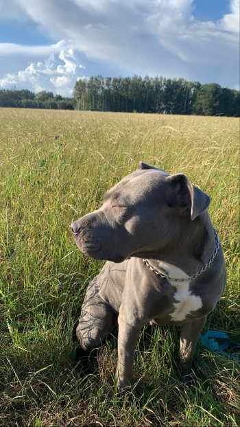 b0df788e 6b43 41ce 95db dd821a1a7c59.jpeg