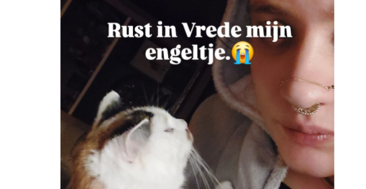 Afscheid van mijn engel Nossa.
