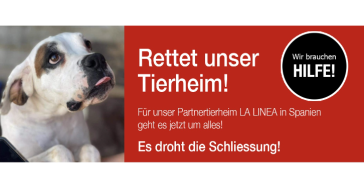 Tierheim braucht dringend Unterstützung