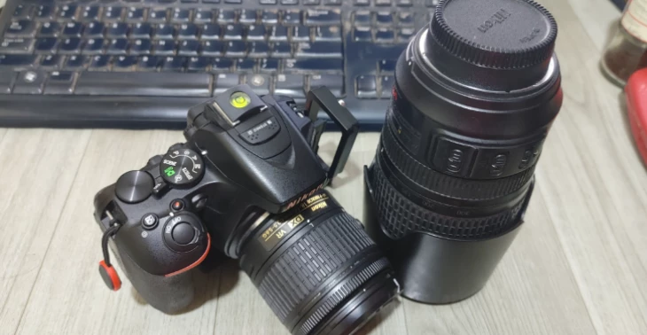 Help Me Capture Wildlife Beauty with a Nikon Z8 & Z 180-600mm Lens