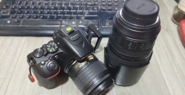 Help Me Capture Wildlife Beauty with a Nikon Z8 & Z 180-600mm Lens