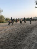 img 0539