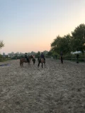 img 0632
