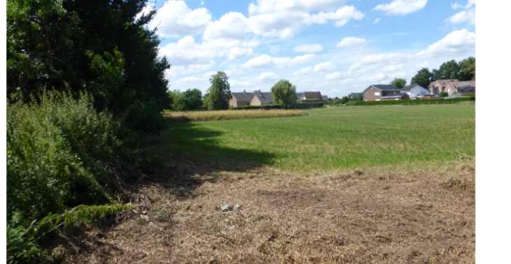 Begeleid wonen jong/volwassenen