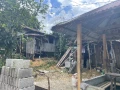 img 0136