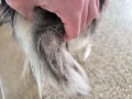 1000002606