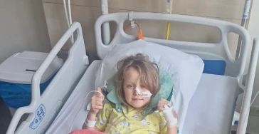 Help Amy genezen. Dit is met toestemming van de papa ❤️