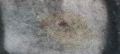 20250313 120946