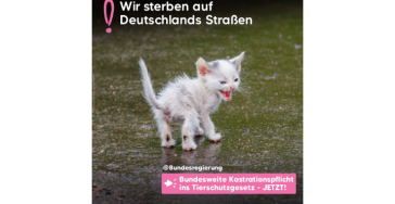 Tierliebe hat Vorrang