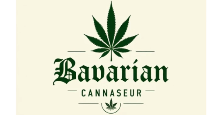 Mit der Selbständigkeit durchstarten